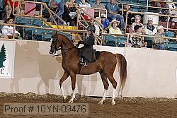 10yn-09476 thumbnail