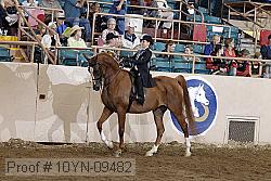 10yn-09482 thumbnail