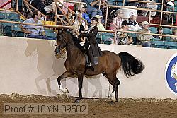 10yn-09502 thumbnail