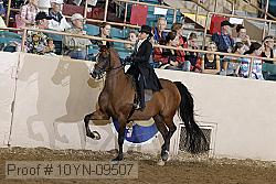 10yn-09507 thumbnail