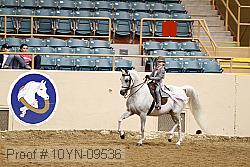 10yn-09536 thumbnail