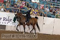 10yn-15606 thumbnail