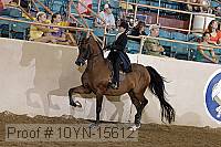 10yn-15612 thumbnail