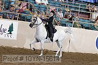 10yn-15614 thumbnail