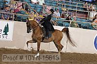 10yn-15615 thumbnail