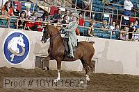 10yn-15622 thumbnail