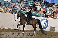 10yn-15625 thumbnail
