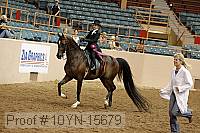 10yn-15679 thumbnail