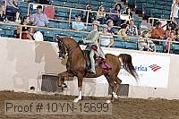 10yn-15699 thumbnail