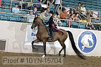 10yn-15704 thumbnail