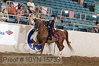 10yn-15733 thumbnail