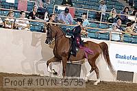10yn-15735 thumbnail