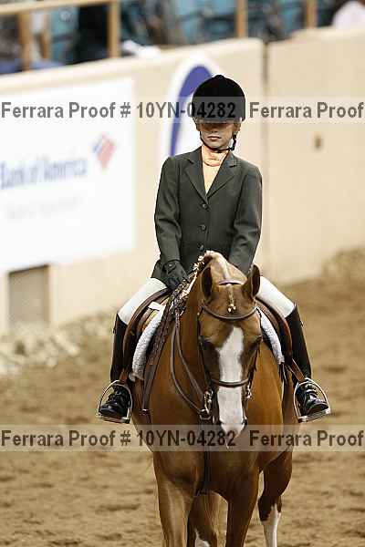Proof Number 10yn-04282