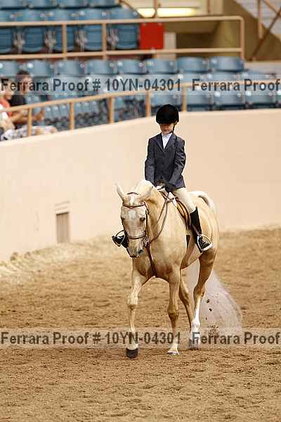 Proof Number 10yn-04301