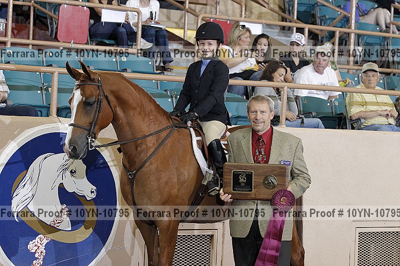 Proof Number 10yn-10795