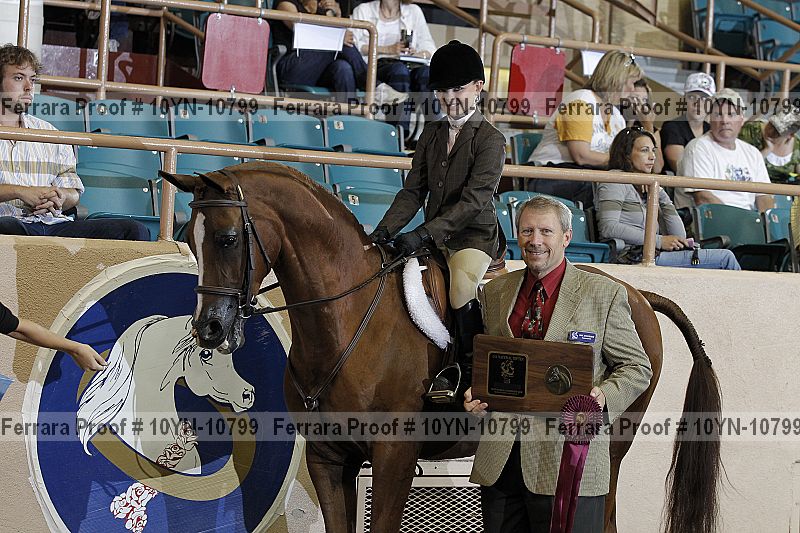 Proof Number 10yn-10799