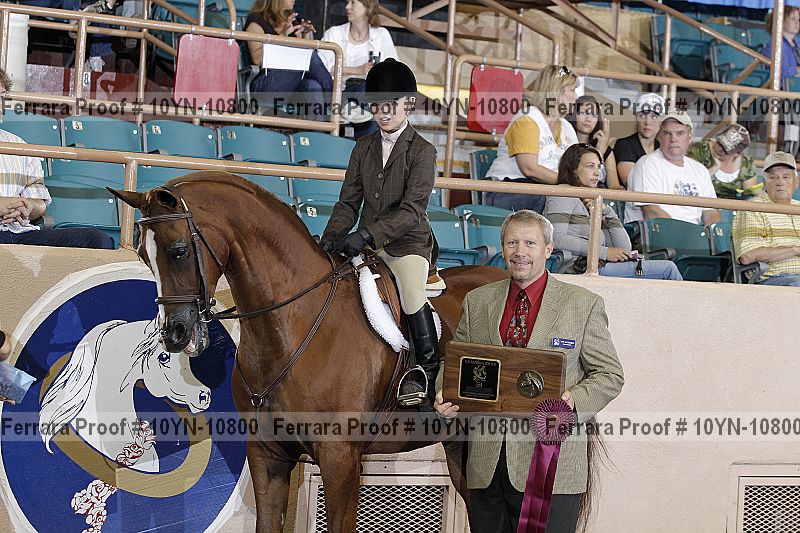 Proof Number 10yn-10800