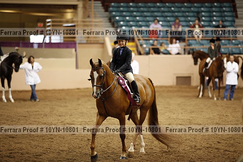 Proof Number 10yn-10801