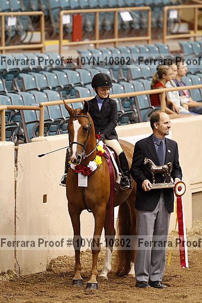 Proof Number 10yn-10802