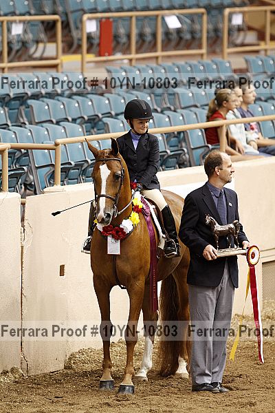 Proof Number 10yn-10803