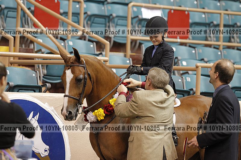 Proof Number 10yn-10805