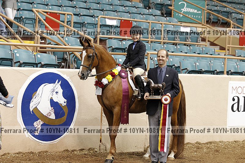 Proof Number 10yn-10811