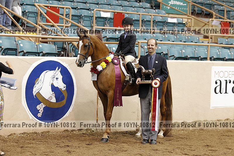 Proof Number 10yn-10812