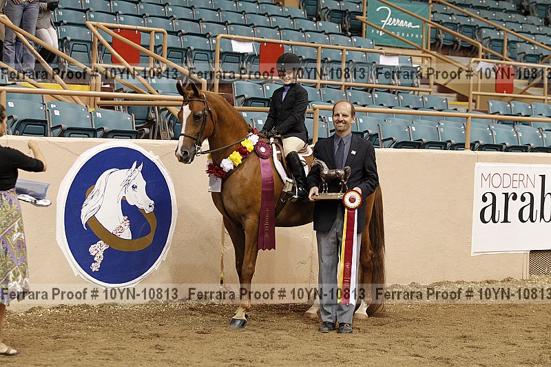 Proof Number 10yn-10813