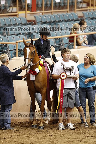 Proof Number 10yn-10814