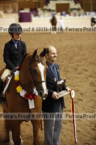 Proof Number 10yn-10816