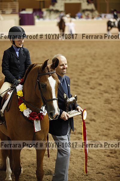 Proof Number 10yn-10817