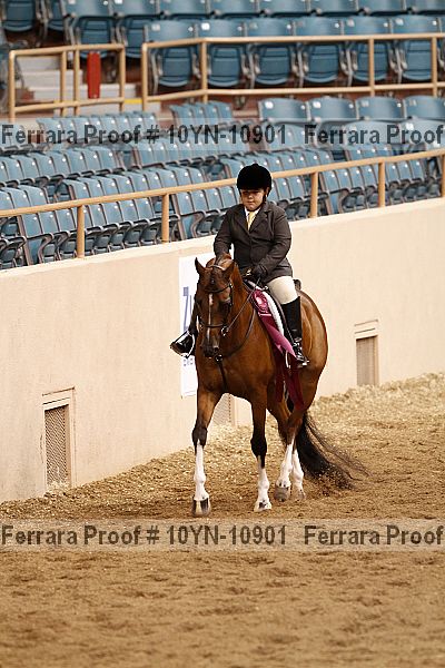 Proof Number 10yn-10901