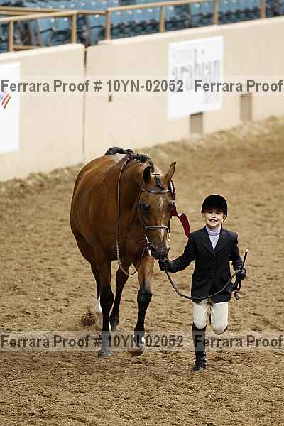 Proof Number 10yn-02052