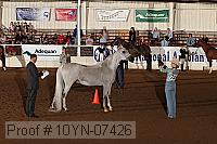 10yn-07426 thumbnail