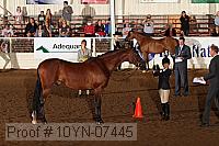10yn-07445 thumbnail