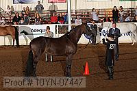 10yn-07447 thumbnail