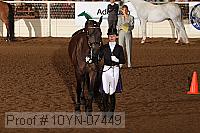 10yn-07449 thumbnail