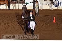 10yn-07450 thumbnail
