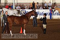 10yn-07452 thumbnail
