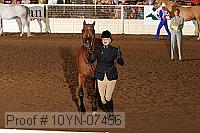 10yn-07456 thumbnail