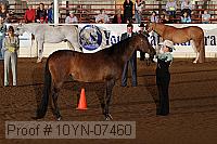 10yn-07460 thumbnail