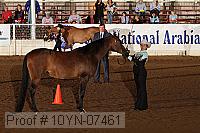 10yn-07461 thumbnail