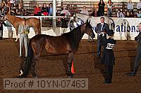 10yn-07463 thumbnail
