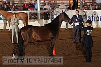 10yn-07464 thumbnail