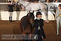 10yn-07465 thumbnail