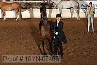 10yn-07466 thumbnail