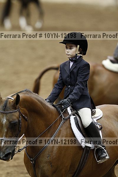 Proof Number 10yn-12198
