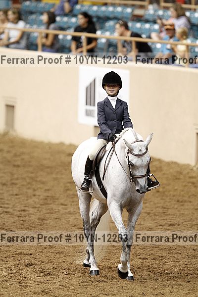 Proof Number 10yn-12203