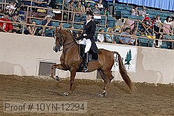 10yn-12294 thumbnail