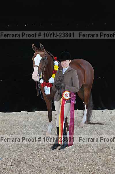 Proof Number 10yn-23801